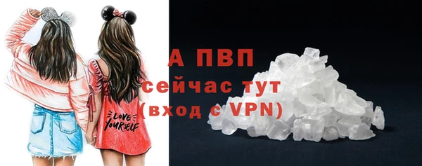 индика Беломорск