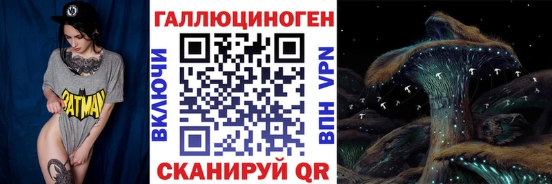 Псилоцибиновые грибы Cubensis  Купить где  Богородицк 