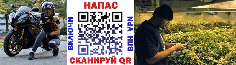 Купить  Богородицк  Шишки марихуана тримм 